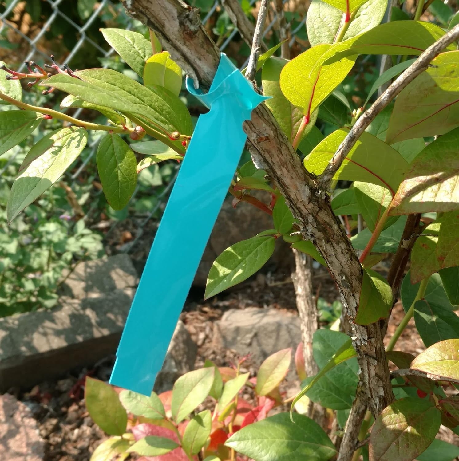 1000 Wrap Around Tree Labels 9 quot X 1 quot Thermal Plastic Tree Plant Labels 