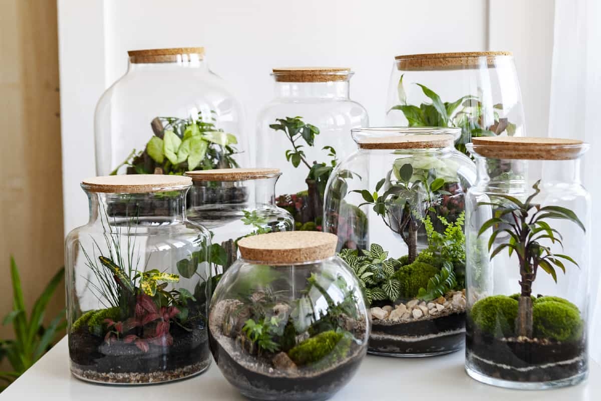 11 Ideas For Garden Club Activities For Adults