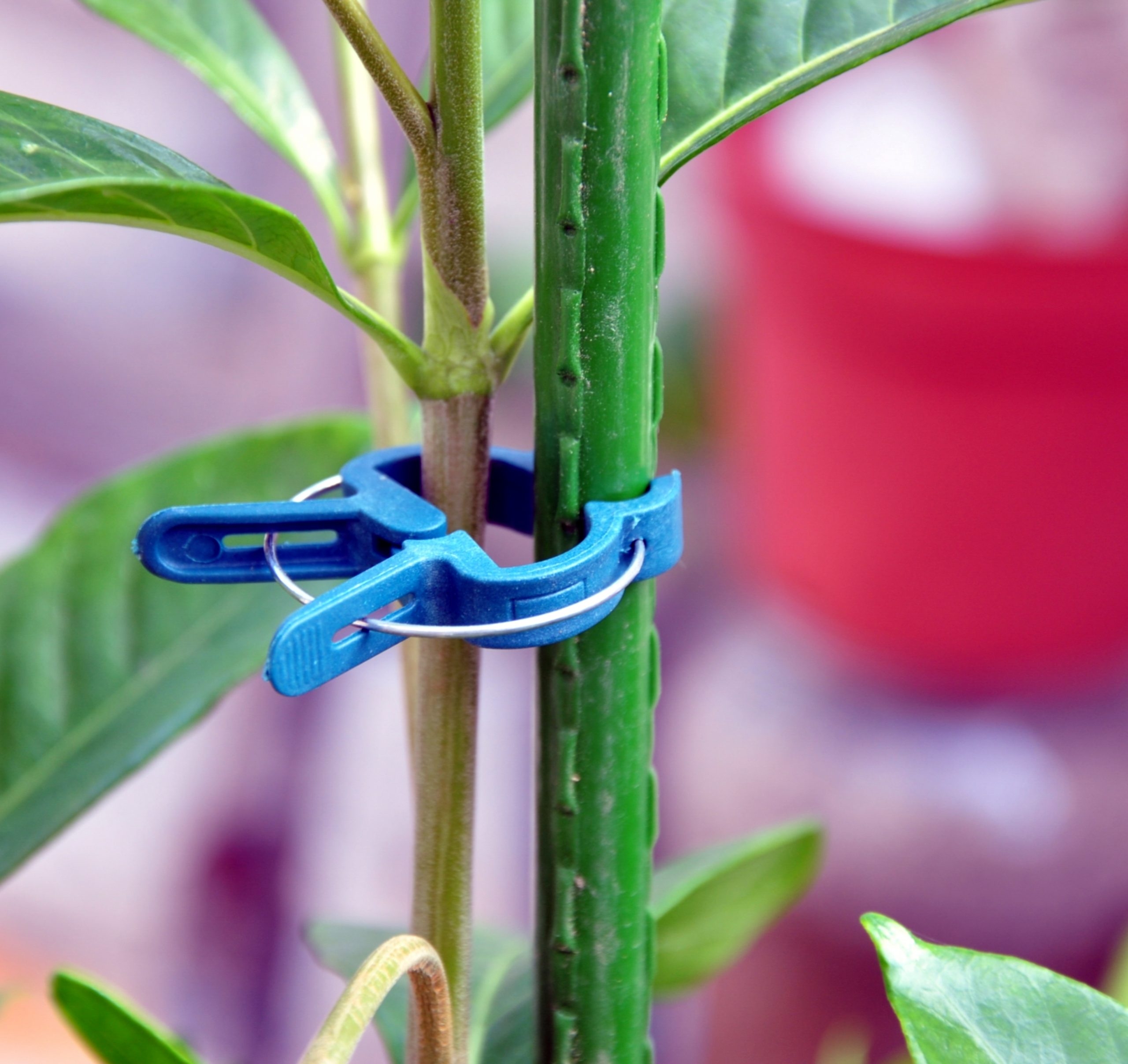 11mm Garden Stakes Veggie Land