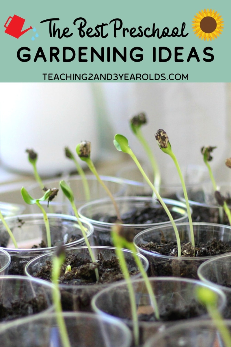 gardening activity for preschool