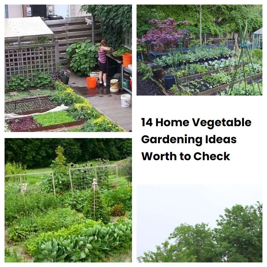 is vegetable gardening worth it