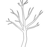 15 Free Bare Tree Templates Tree Template Without Leaves In A