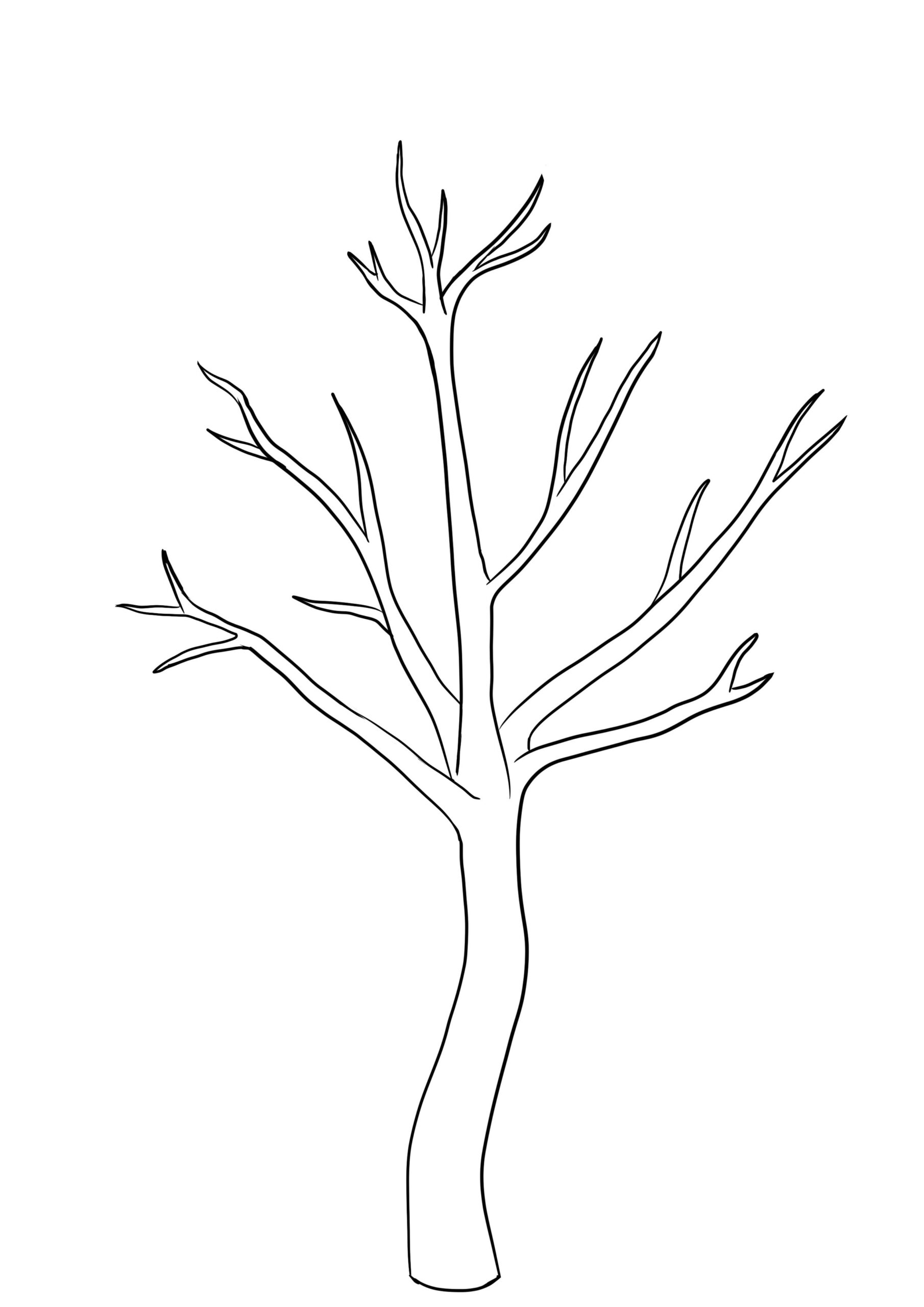 15 Free Bare Tree Templates Tree Template Without Leaves In A 