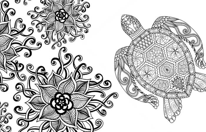 20 Gorgeous Free Printable Adult Coloring Pages Nerdy Mamma