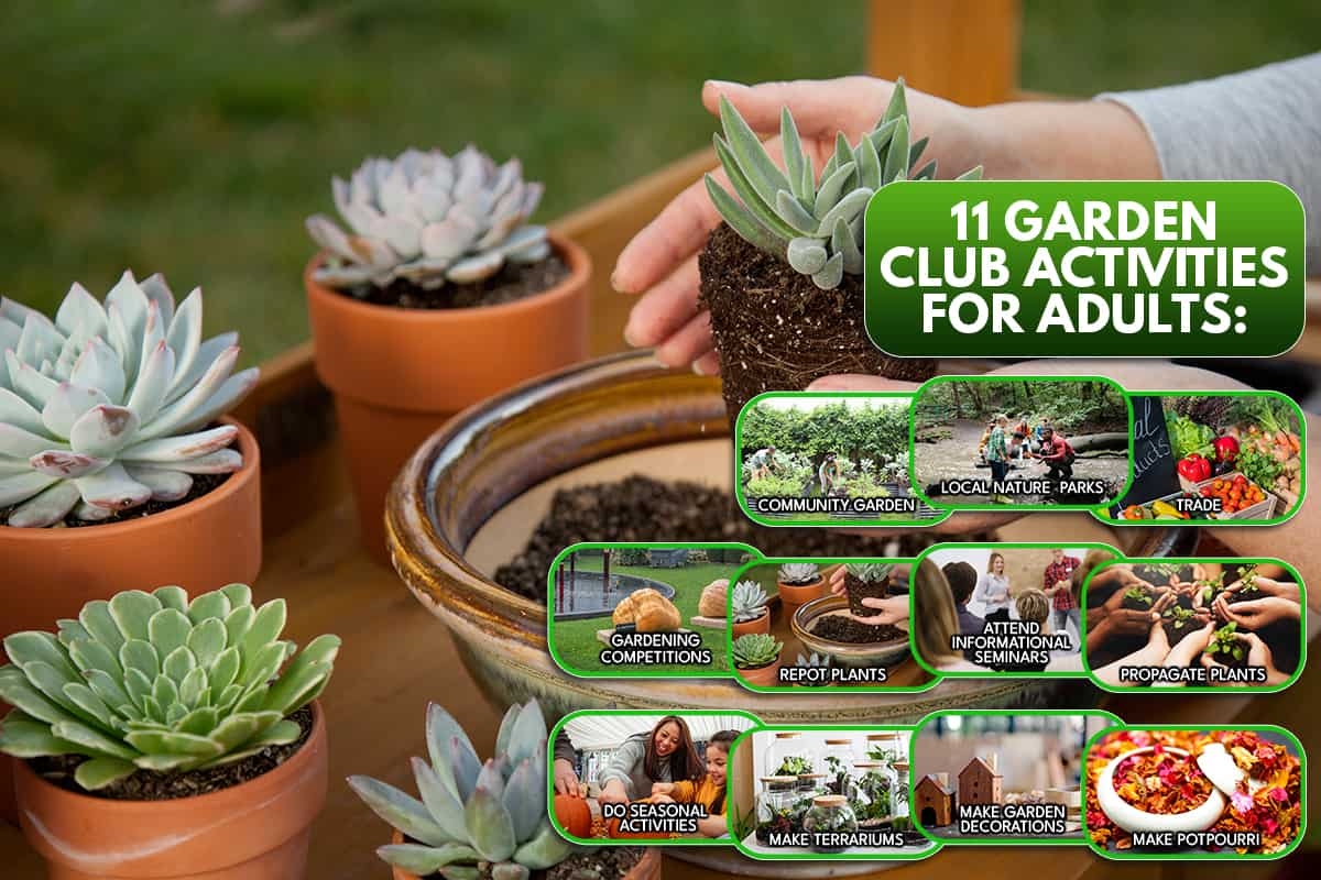 21 Ideas For Garden Club Activities For Adults GardenTabs