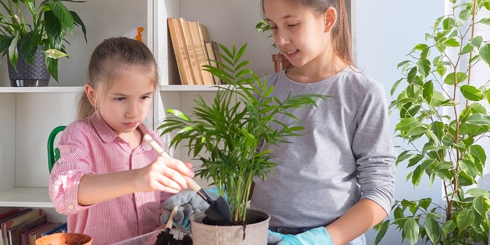 3 Indoor Gardening Activities For Kids Plant Perfect