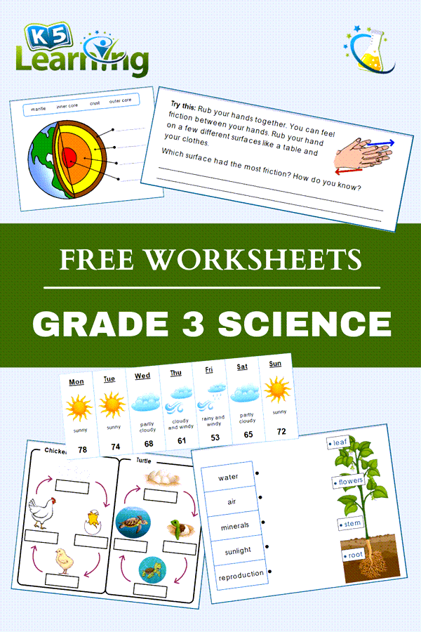 3rd grade science worksheets