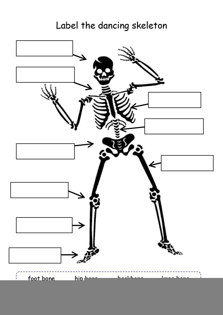 4th Grade Worksheets Science Scienceworksheets