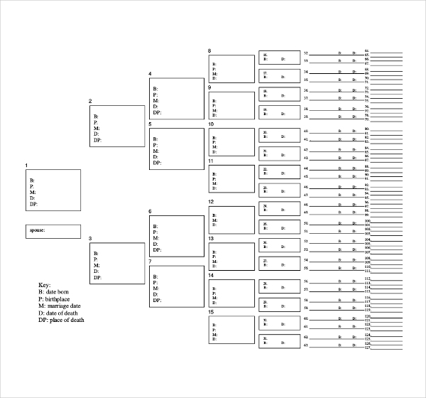 50 Family Tree Templates Free Sample Example Format