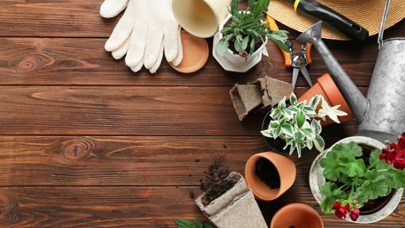 50 Gardening Quiz Questions And Answers Quiz Questions UK