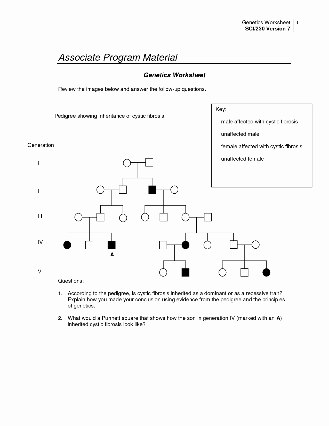 50 Genetics Pedigree Worksheet Answers