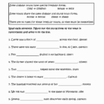50 Irregular Plural Nouns Worksheet