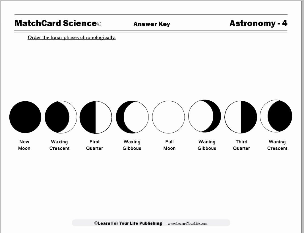 50 Moon Phases Worksheet Answers Chessmuseum Template Library