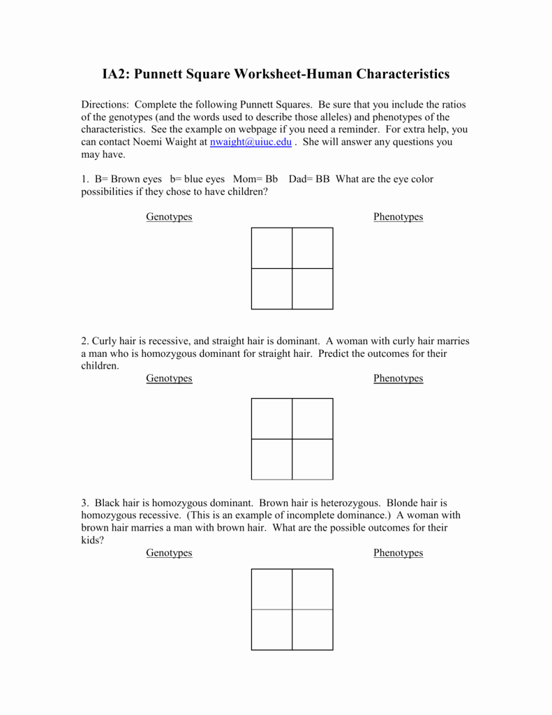 50 Punnett Square Practice Worksheet Chessmuseum Template Library
