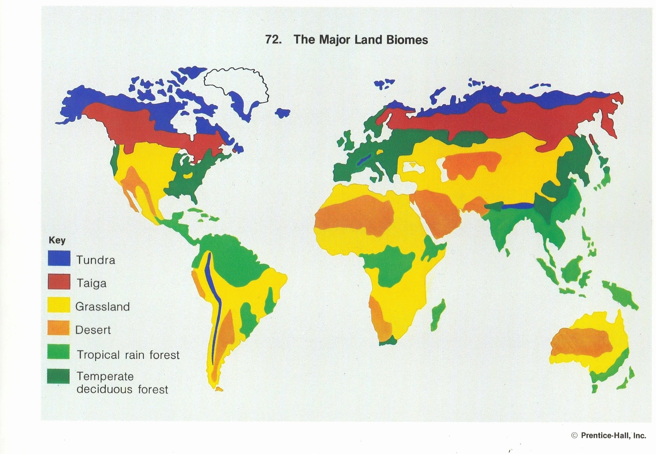 50 World Biome Map Coloring Worksheet