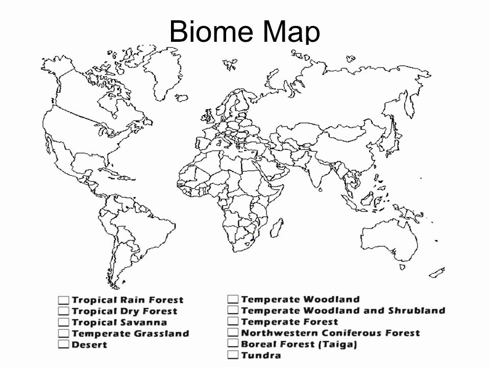 biome map coloring worksheet