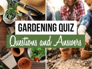 gardening quiz printable