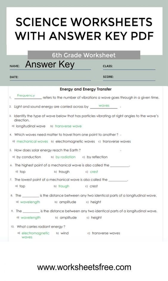 6th Grade Science Worksheets With Answer Key Pdf 5b Science