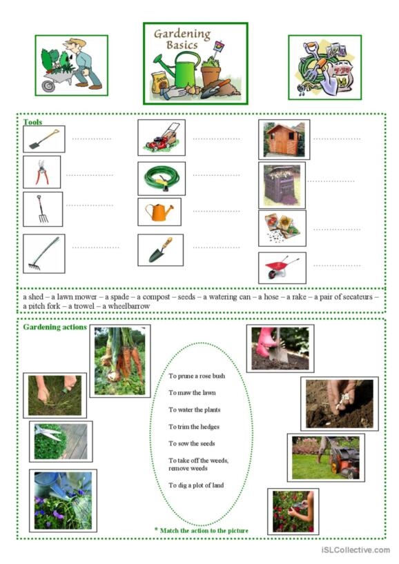 86 Gardening English ESL Worksheets Pdf Doc