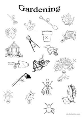 gardening activities worksheets