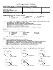Active Transport Worksheet PDF Resources Biology Worksheets Library