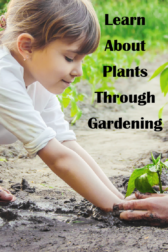 Activities To Teach Preschoolers All About Gardening And Plants