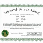 Ada Service Dog Certification Webmastergenel Printable Ada Service
