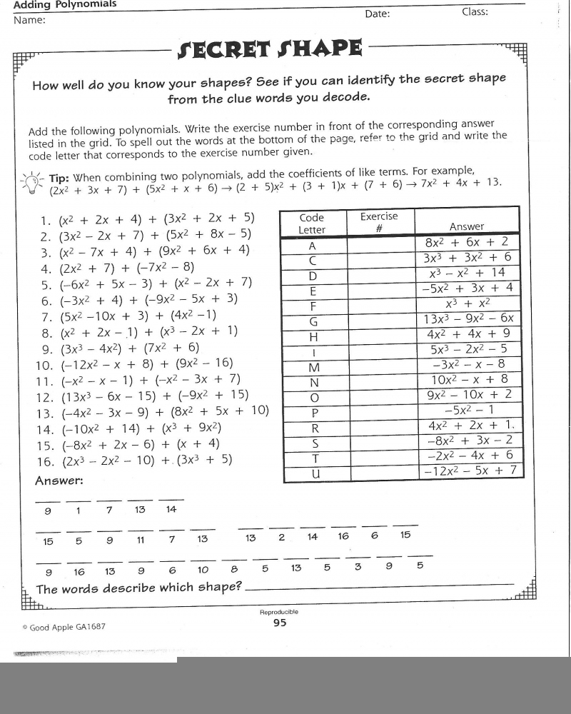 Adding Polynomials Worksheet PDF Math Worksheets Printable