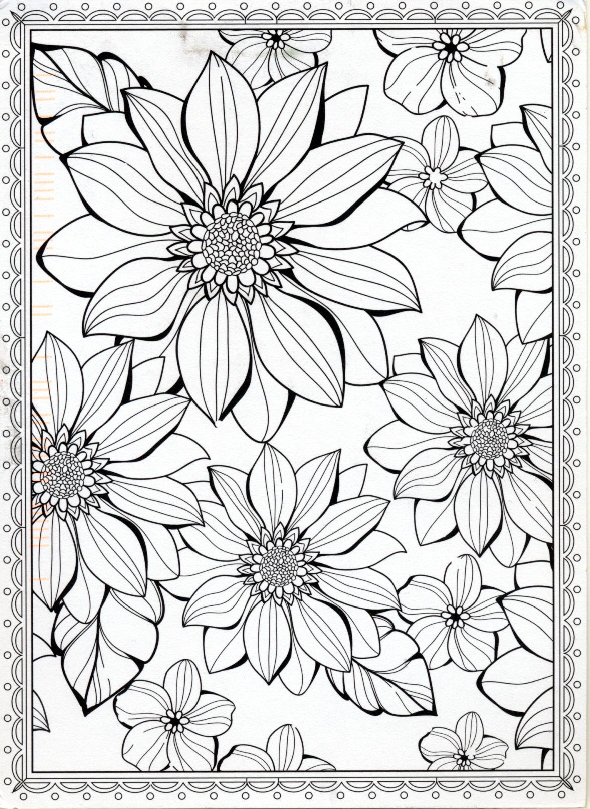 Adult Coloring Pages With Flowers