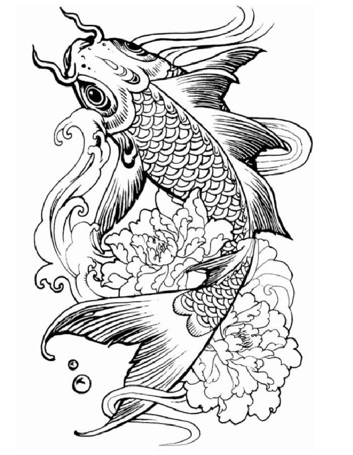 Adult Coloring Pages Free Printable PDF 