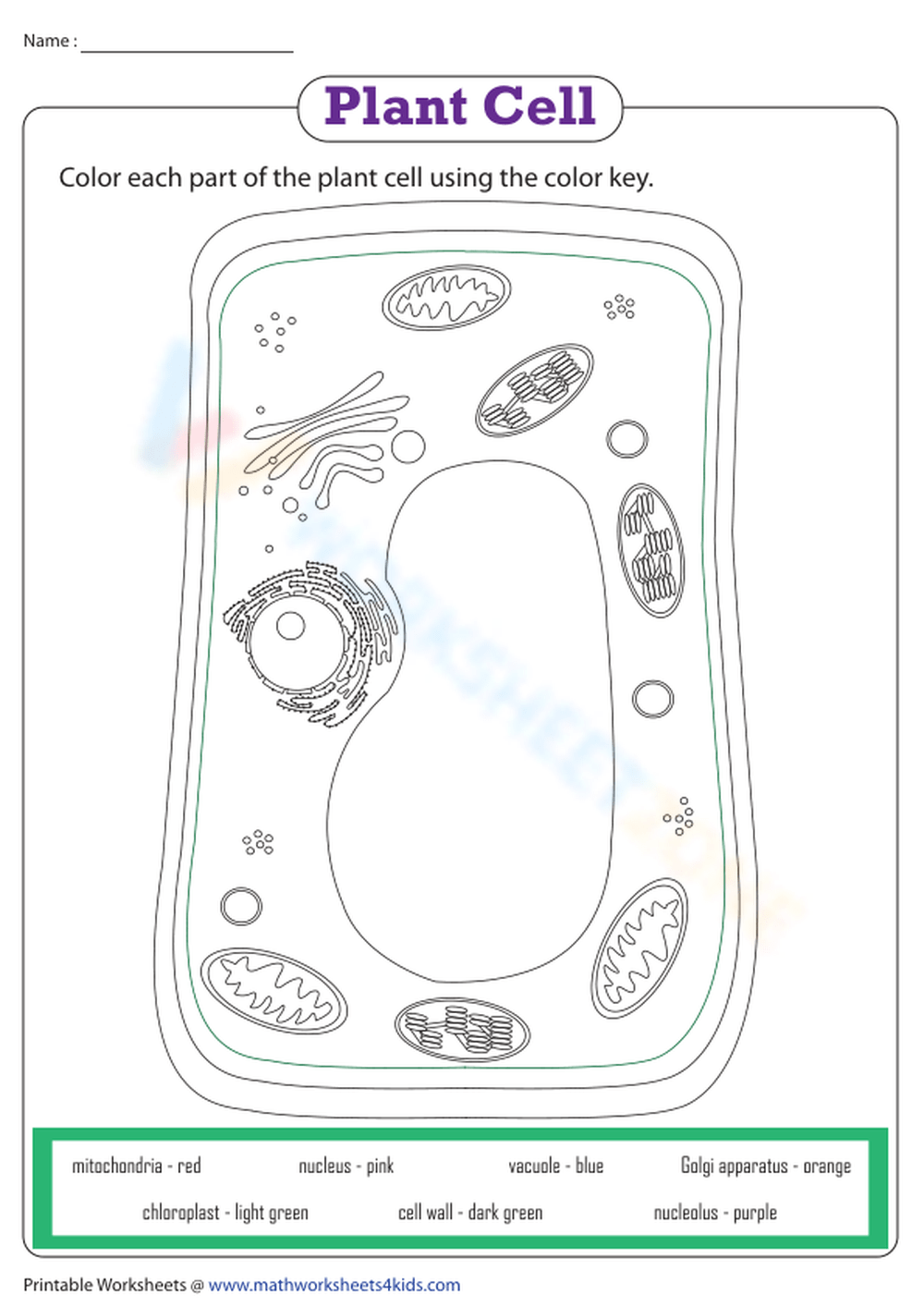 coloring worksheet