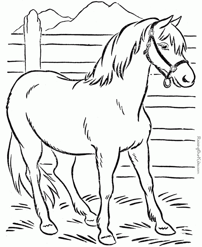 Animal Coloring Page Of Horse To Print