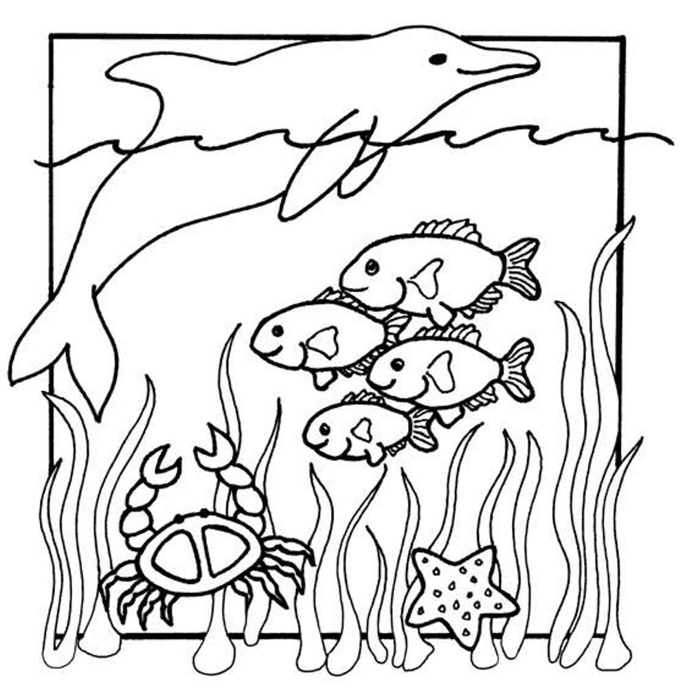 Animal Coloring Pages Of Ocean Animals Coloring Home