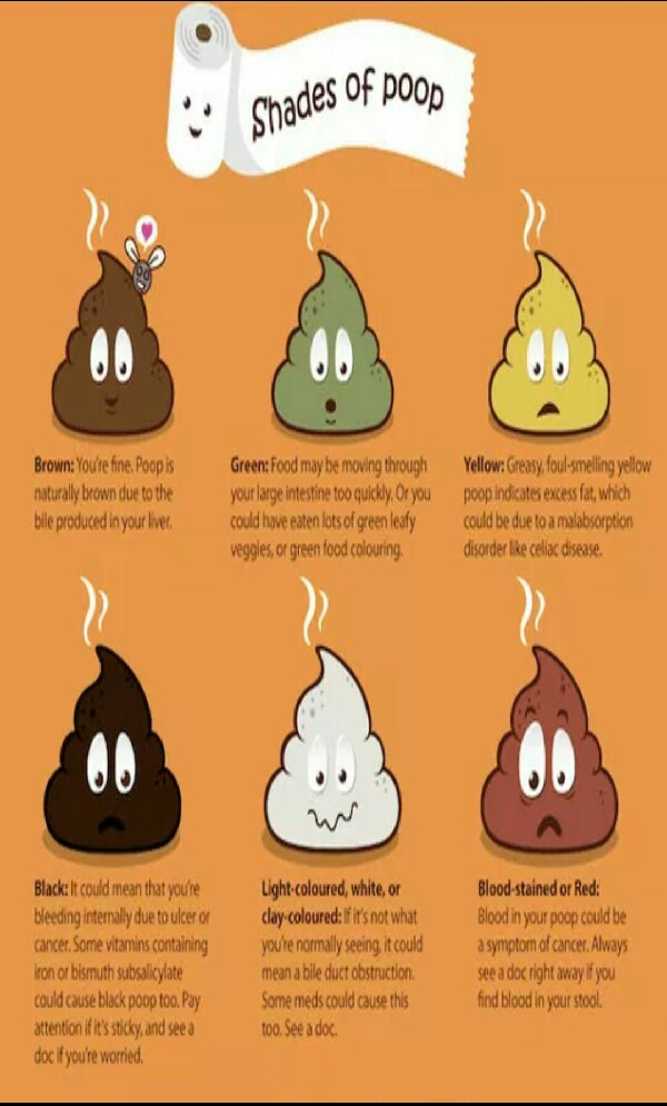 Antibiotics Change Poop Color