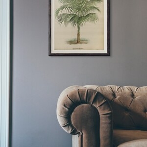 Antique 1800s Palm Tree Print Art Print Poster Palm Tree Wall Decor 