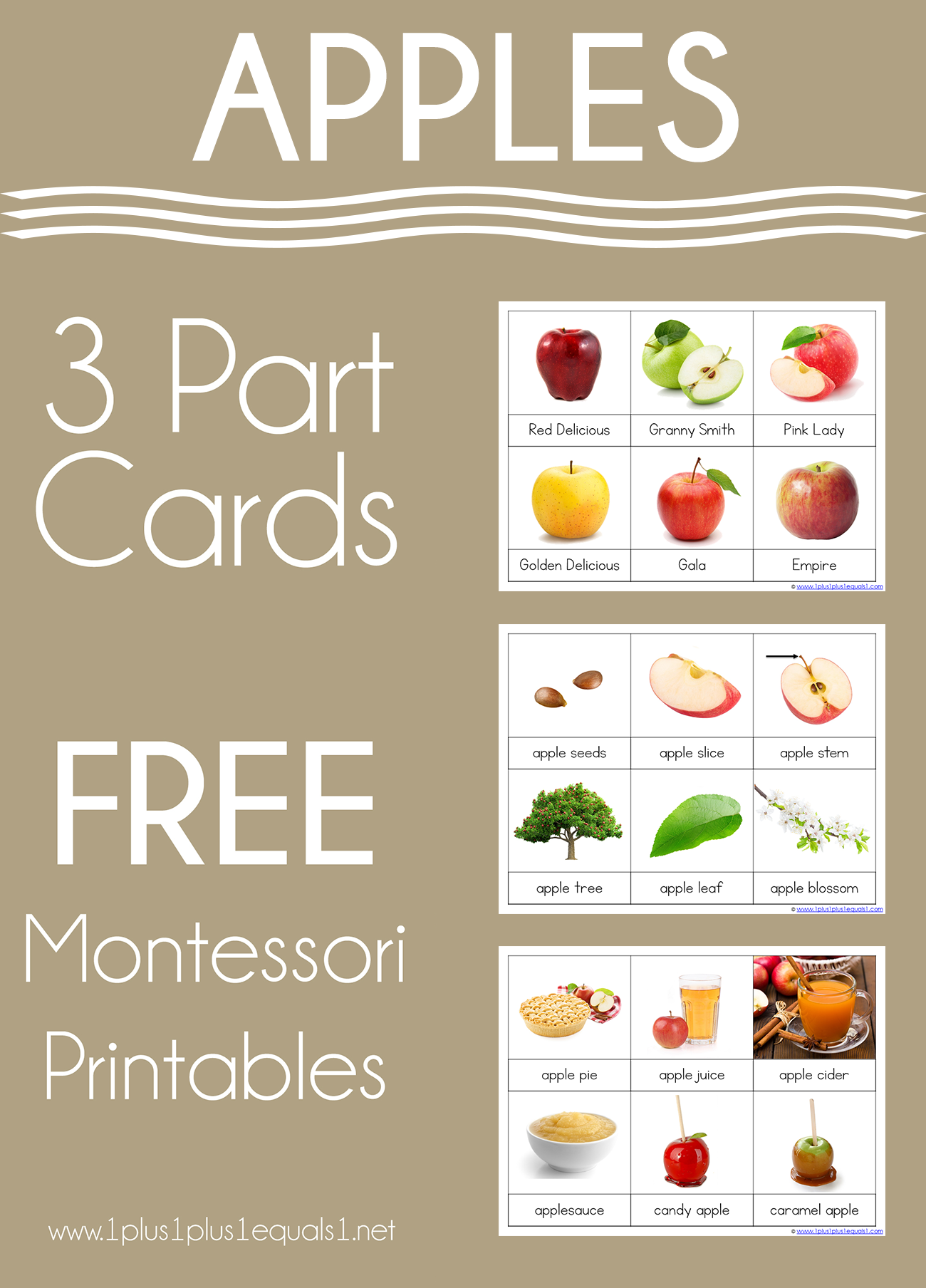 Apple 3 Part Printables And Boom Cards 1 1 1 1 Apple Preschool 