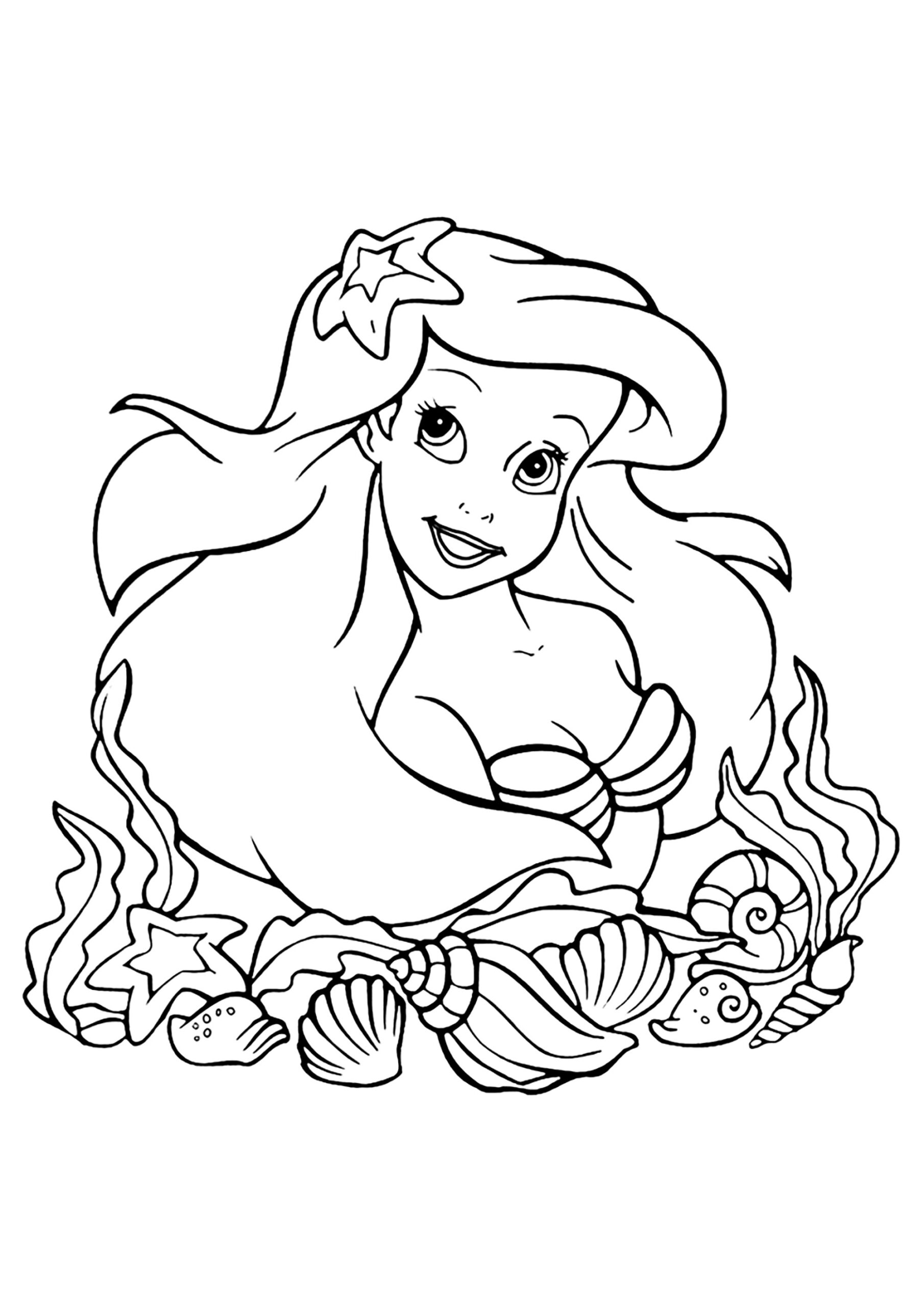 Ariel The Little Mermaid Surrounded By Pretty Shells The Little 