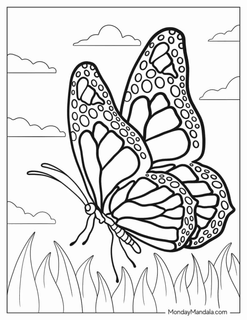 Ask Coloring Pages Of A Monarch Butterfly