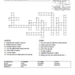Autumn Crossword Puzzle Free Printable