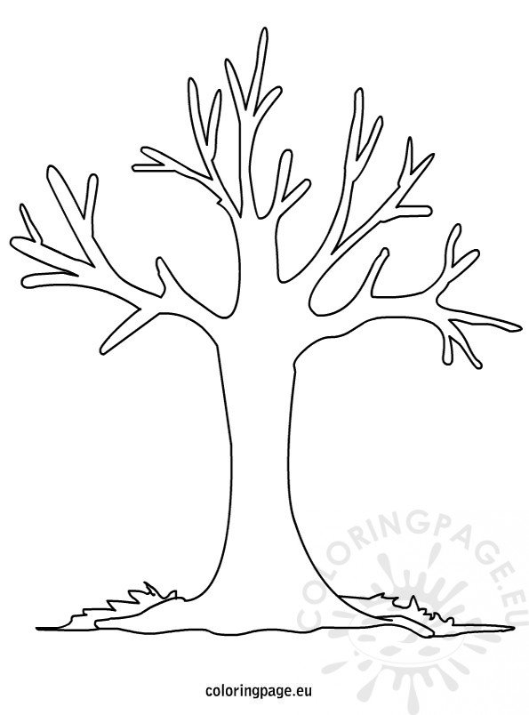 Autumn Tree Coloring Pages Printable Coloring Page