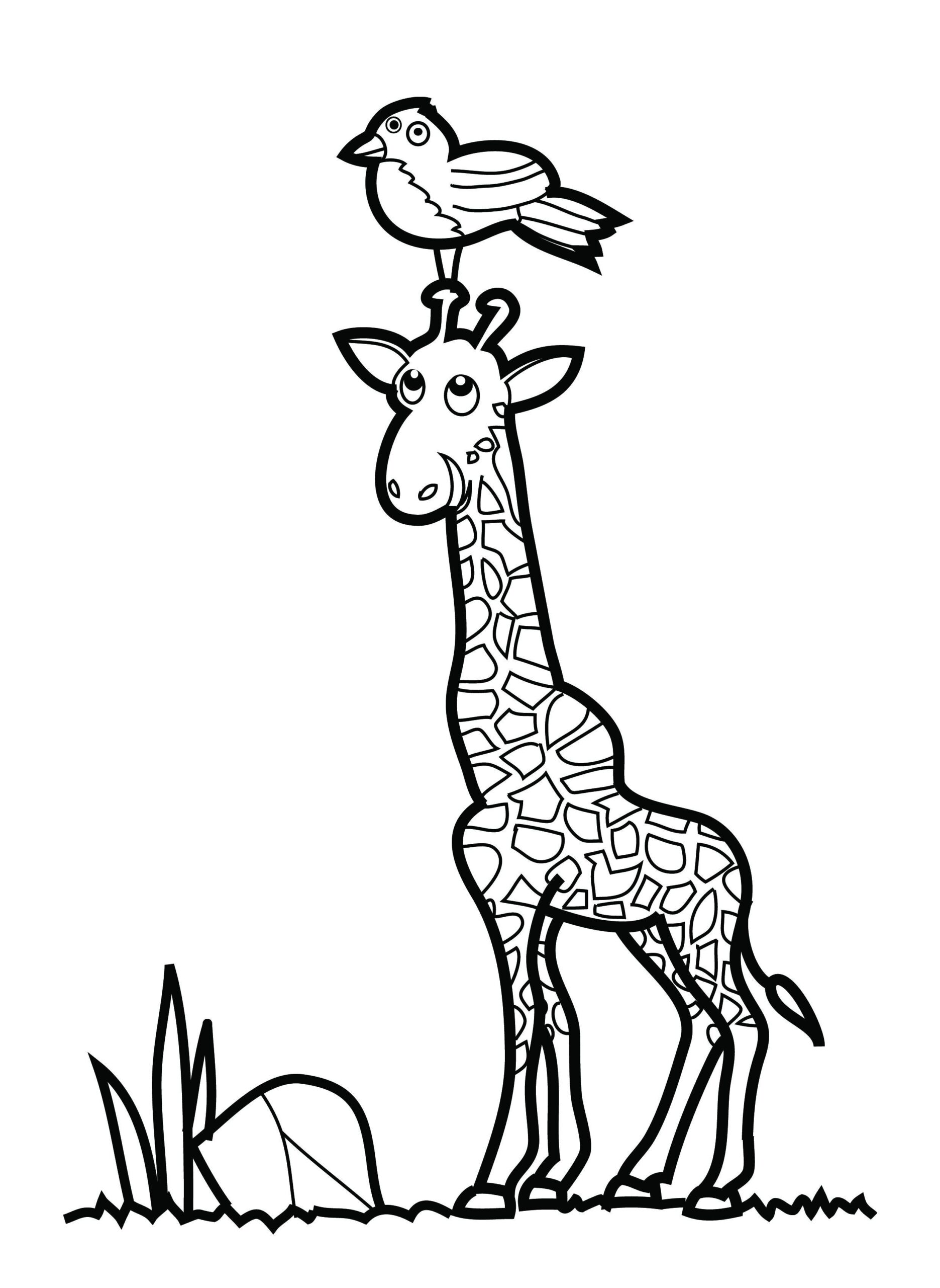 Giraffe Coloring Pages