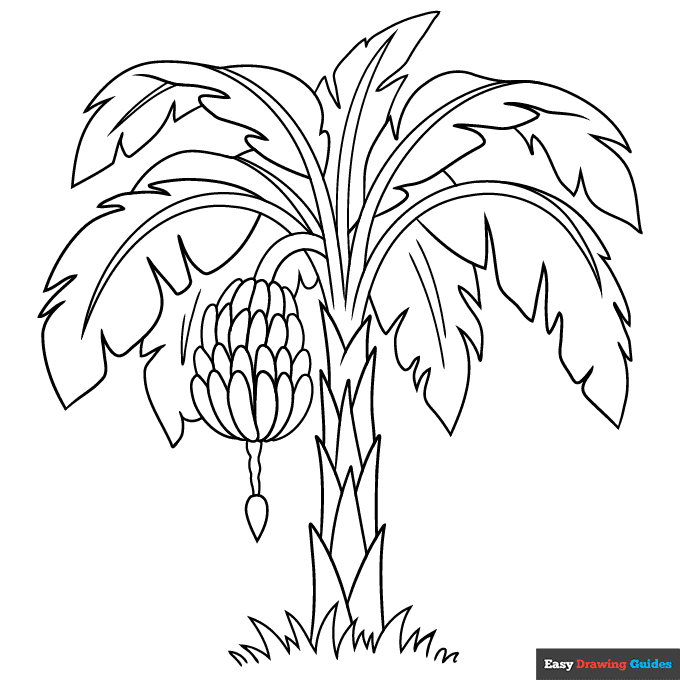 tree printable drawing