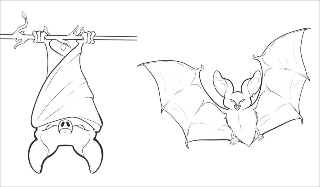 Bat Coloring Pages ColoringBay