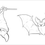 Bat Coloring Pages ColoringBay