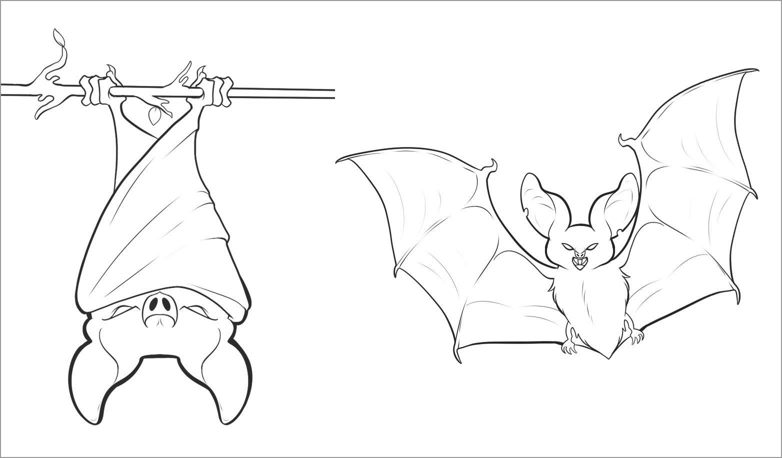 Bat Coloring Pages ColoringBay