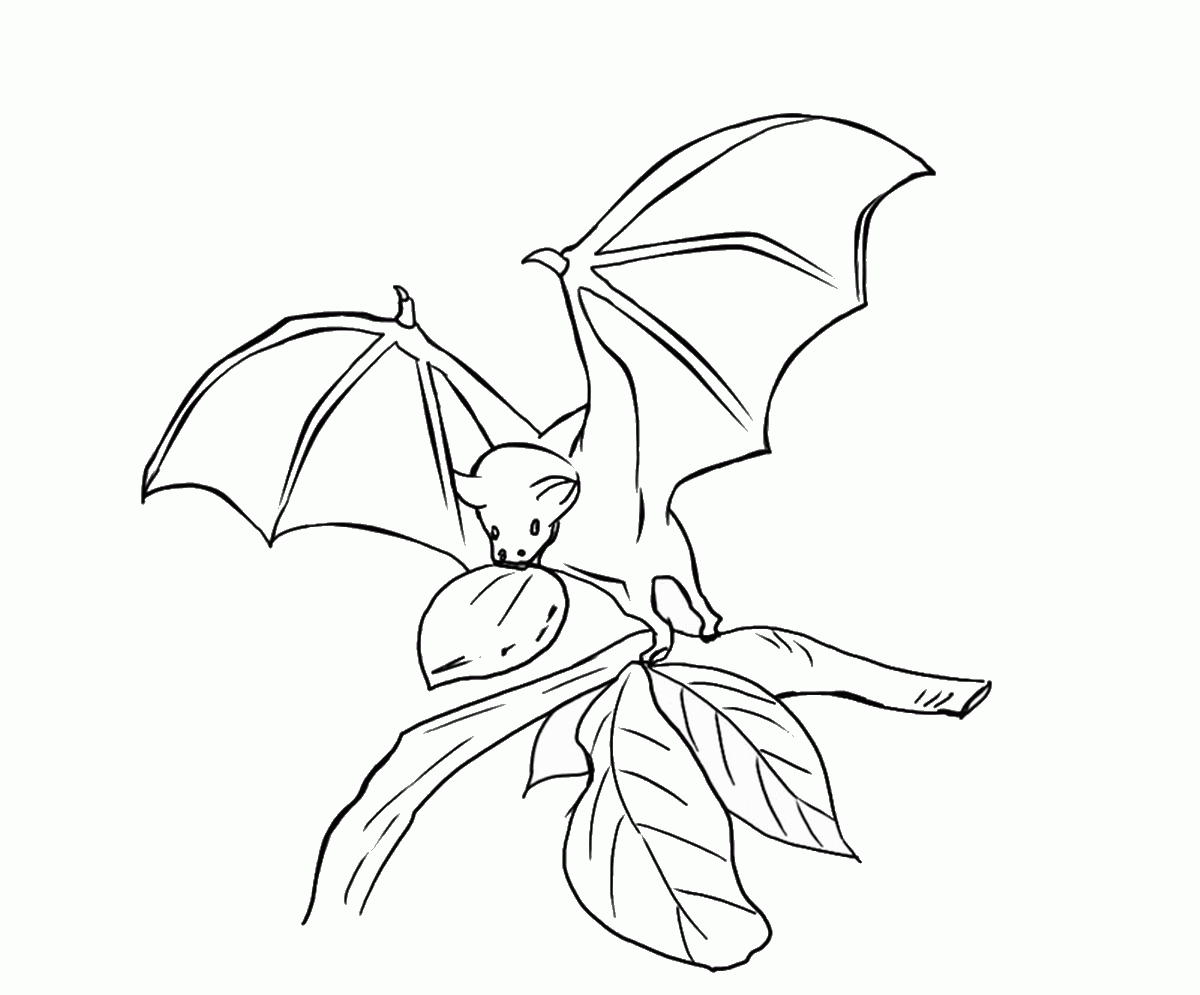 Bat Coloring Pages Learny Kids
