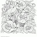 Beautiful Coloring Pages For Adults Flowers COLORING PAGES