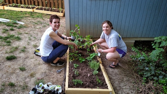 Ben 39 s Journal Gardening Progress Veggies Planted Now Let 39 s Grow 