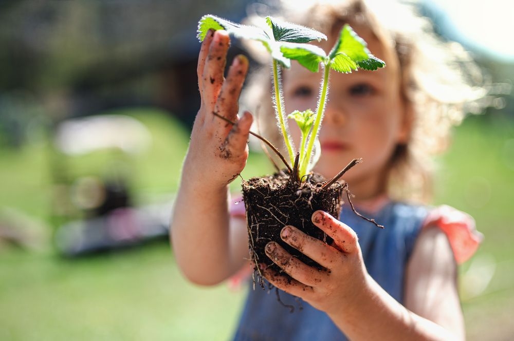 Benefits Of Gardening With Preschoolers Mansio Montessori