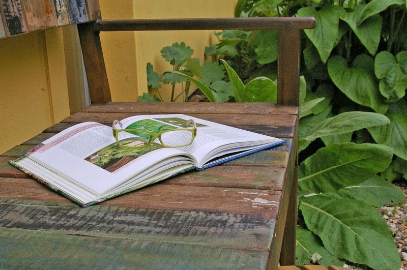 gardening books for beginners